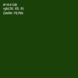 #1A4108 - Dark Fern Color Image