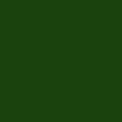 #1A420C - Dark Fern Color Image