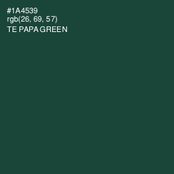 #1A4539 - Te Papa Green Color Image