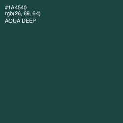 #1A4540 - Aqua Deep Color Image