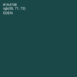 #1A4748 - Eden Color Image