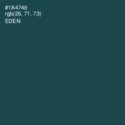 #1A4749 - Eden Color Image