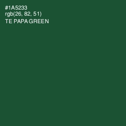#1A5233 - Te Papa Green Color Image