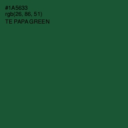 #1A5633 - Te Papa Green Color Image