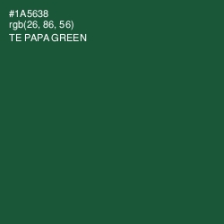 #1A5638 - Te Papa Green Color Image