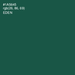 #1A5645 - Eden Color Image