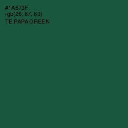 #1A573F - Te Papa Green Color Image