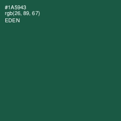 #1A5943 - Eden Color Image