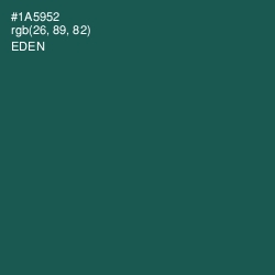 #1A5952 - Eden Color Image