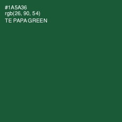 #1A5A36 - Te Papa Green Color Image