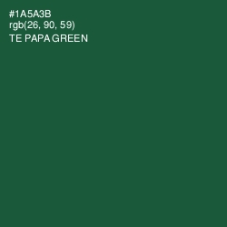 #1A5A3B - Te Papa Green Color Image