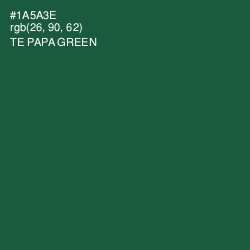 #1A5A3E - Te Papa Green Color Image