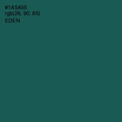 #1A5A55 - Eden Color Image