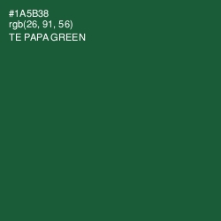 #1A5B38 - Te Papa Green Color Image