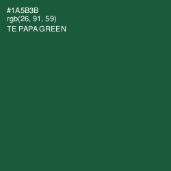 #1A5B3B - Te Papa Green Color Image