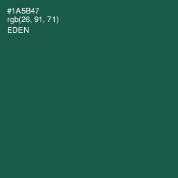 #1A5B47 - Eden Color Image