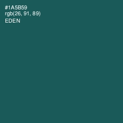 #1A5B59 - Eden Color Image