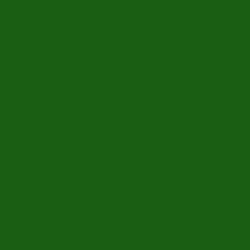 #1A5E14 - Parsley Color Image