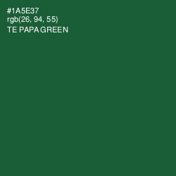#1A5E37 - Te Papa Green Color Image