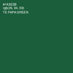 #1A5E3B - Te Papa Green Color Image