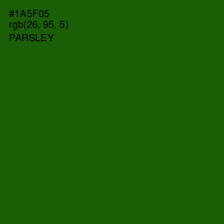 #1A5F05 - Parsley Color Image