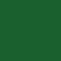 #1A602E - Fun Green Color Image