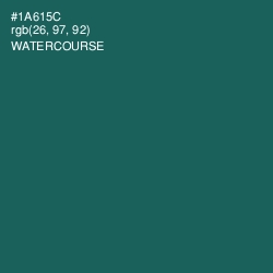 #1A615C - Watercourse Color Image