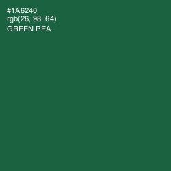#1A6240 - Green Pea Color Image