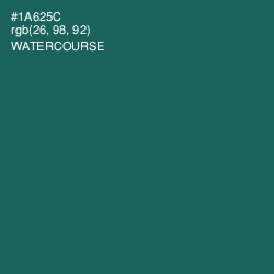 #1A625C - Watercourse Color Image