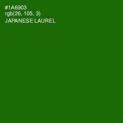 #1A6903 - Japanese Laurel Color Image