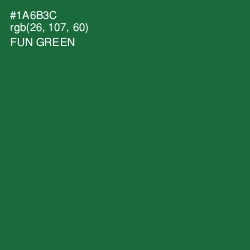 #1A6B3C - Fun Green Color Image