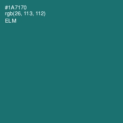 #1A7170 - Elm Color Image