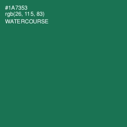 #1A7353 - Watercourse Color Image