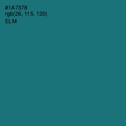 #1A7378 - Elm Color Image