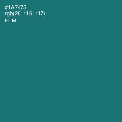 #1A7475 - Elm Color Image