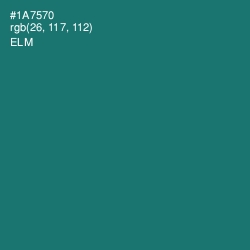 #1A7570 - Elm Color Image
