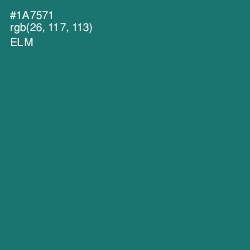 #1A7571 - Elm Color Image