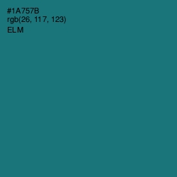 #1A757B - Elm Color Image