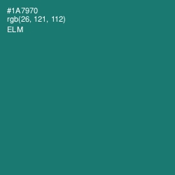 #1A7970 - Elm Color Image