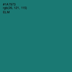 #1A7973 - Elm Color Image