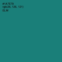 #1A7E79 - Elm Color Image