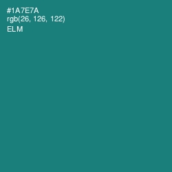 #1A7E7A - Elm Color Image