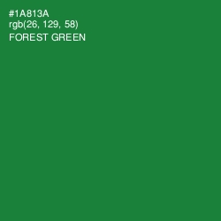 #1A813A - Forest Green Color Image