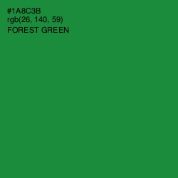 #1A8C3B - Forest Green Color Image