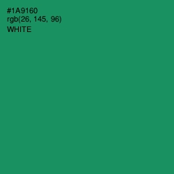 #1A9160 - Elf Green Color Image