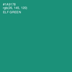 #1A9178 - Elf Green Color Image