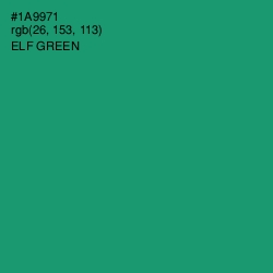 #1A9971 - Elf Green Color Image