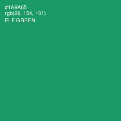 #1A9A65 - Elf Green Color Image