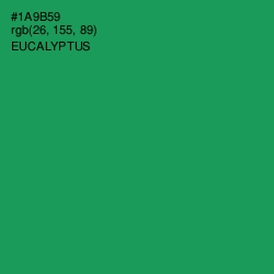 #1A9B59 - Eucalyptus Color Image