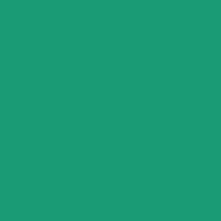 #1A9B76 - Elf Green Color Image